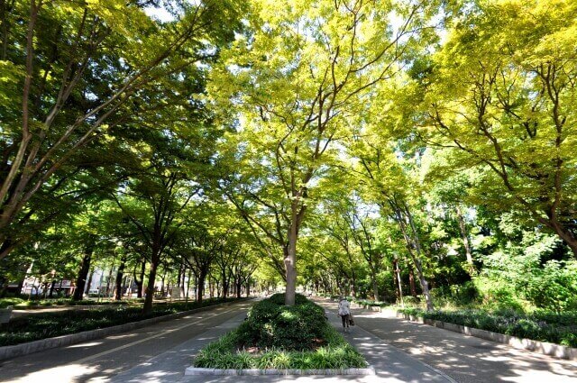 潮見坂平和公園は名古屋で女装子、男の娘、ニューハーフと出会いがるスポット
