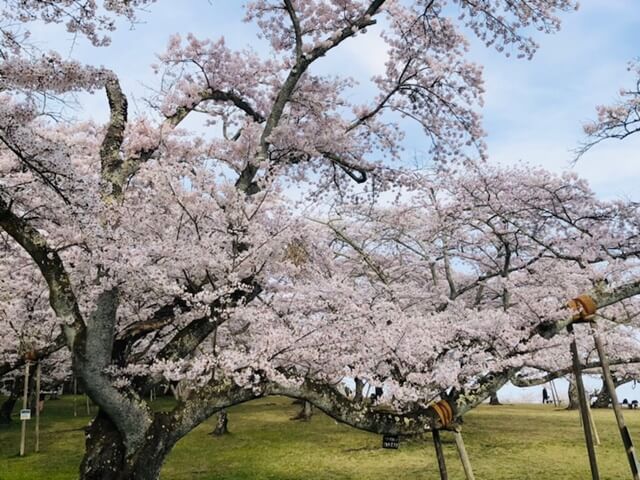 三神峯公園は仙台で女装子、男の娘、ニューハーフと出会いがあるスポット