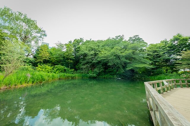 蓮池公園は長崎で女装子、男の娘、ニューハーフと出会いがあるスポット